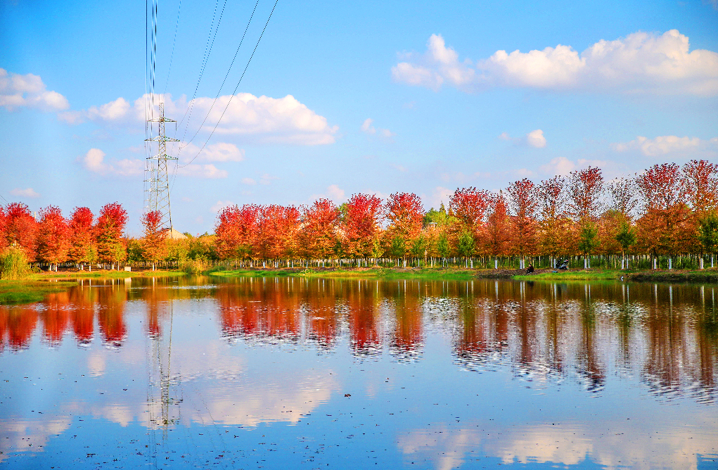 江苏靖江市季市镇:"三强三树"拓路径,富民强村提质效