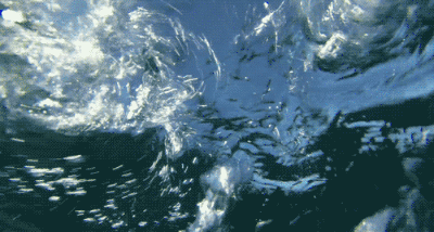 11张高能深海图,来测测你是否有深海恐惧症?你能坚持到第几张?