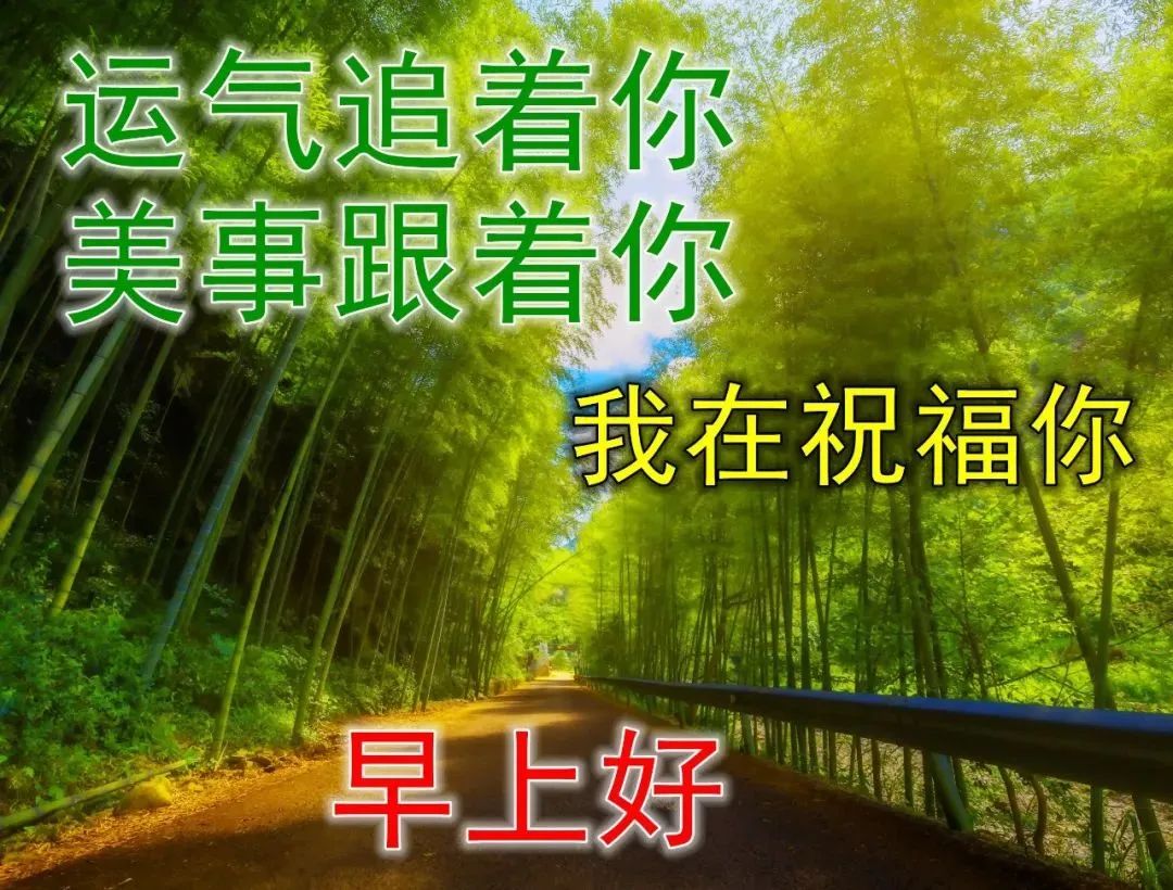 慰问朋友早上好问候语大全,最漂亮的早安图片带祝福语