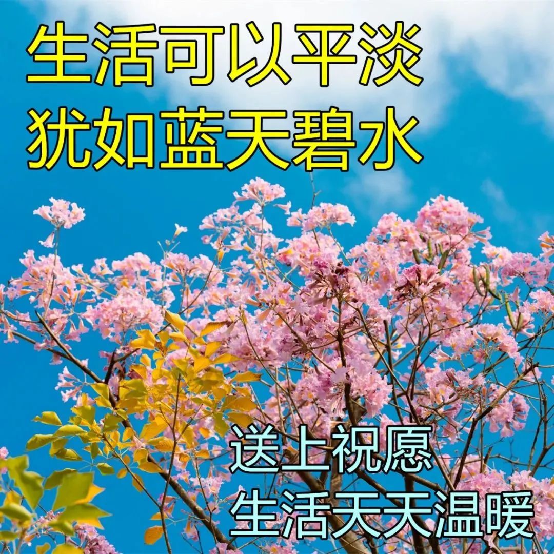 週三早上好溫馨祝福語圖片,早上好問候心語祝福語錄