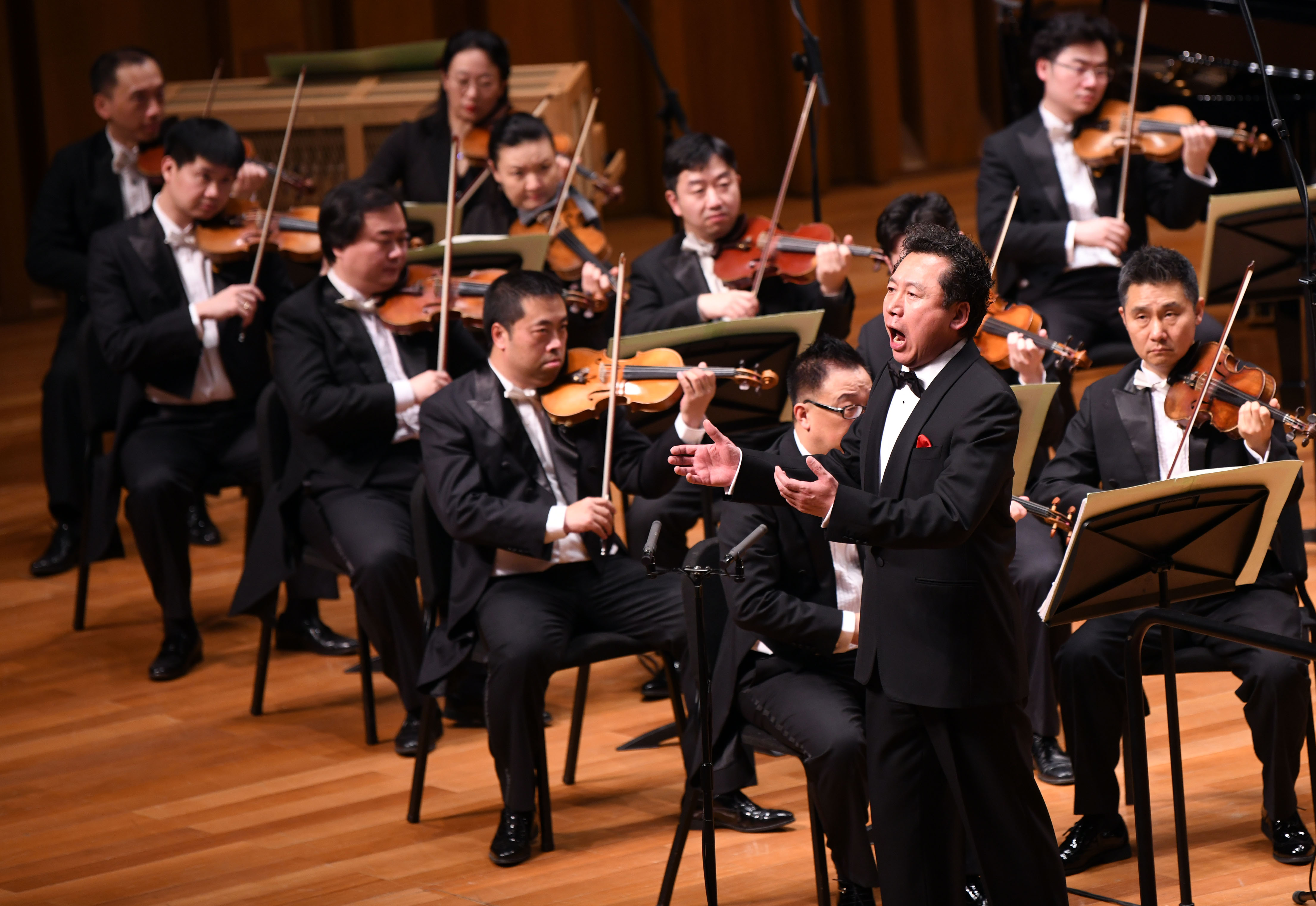 中国交响乐团新年音乐会在京上演