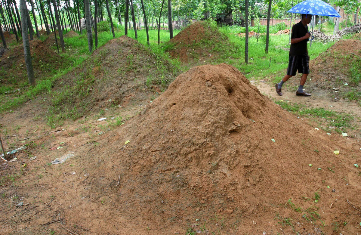 "坟头塌消子孙稀,坟上无草绝家资"指啥?快看看吧,别被笑话了