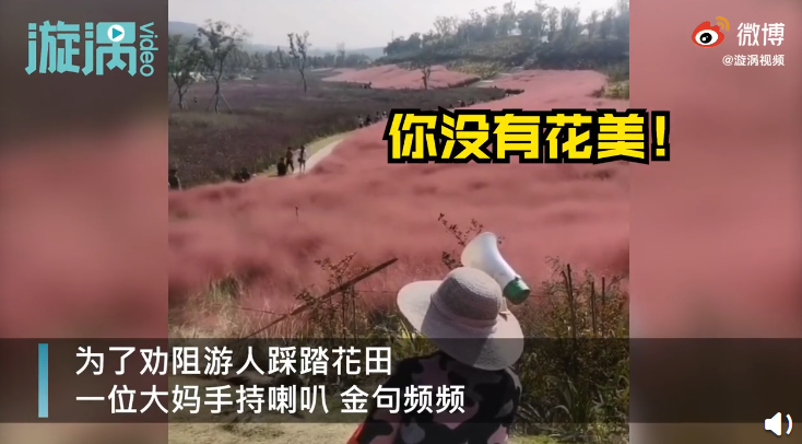 热点|“进入花田你没有花美！”景区一段硬核喊话爆火，网友：你大妈还是你大妈