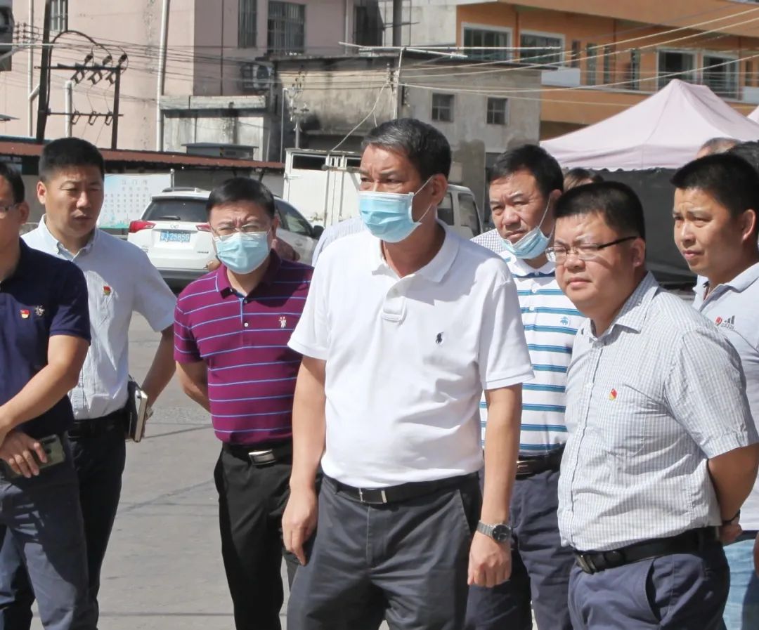 伍培进到棠下镇开展村居调研工作