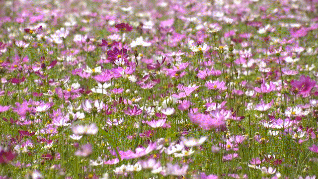 640_360