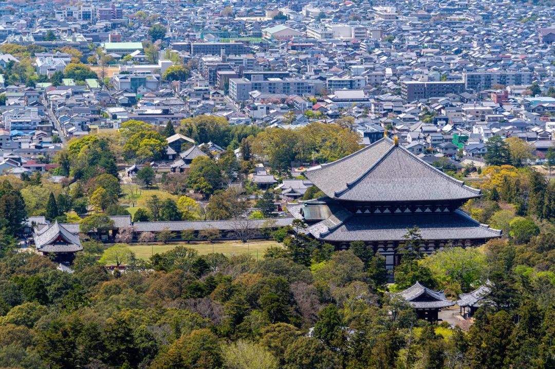 与藤原京相比,平城京修建了完整的罗城门与更加宽阔的朱雀大道,城防