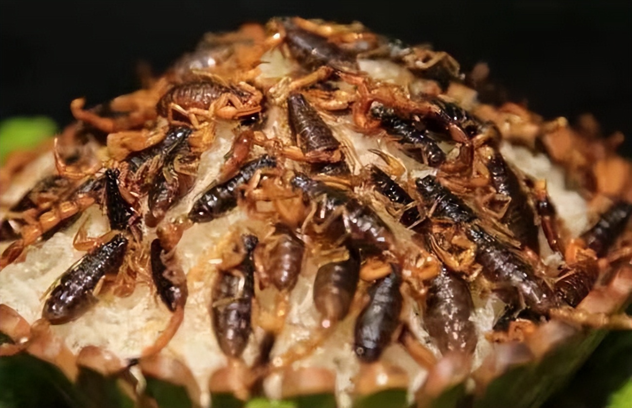 云南"4大怪菜",当地人喝酒必备,外地人看完摇头:我干喝就行