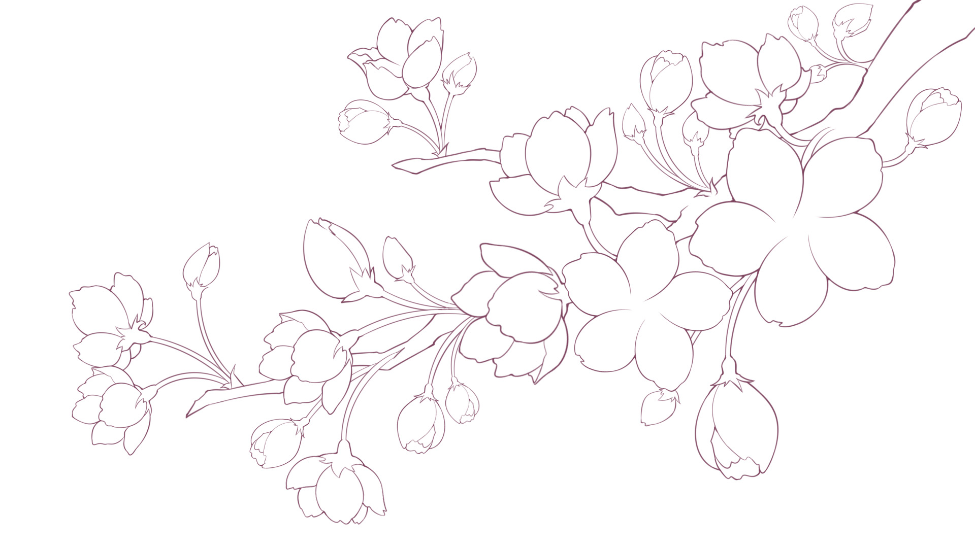 get"密集花卉"绘画技巧,效率提升n倍