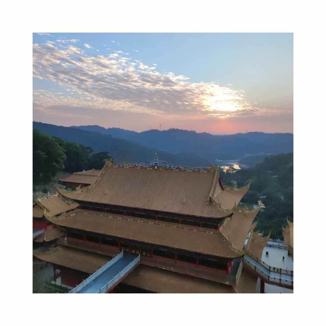 龙华寺方丈释本禅师为广德高僧