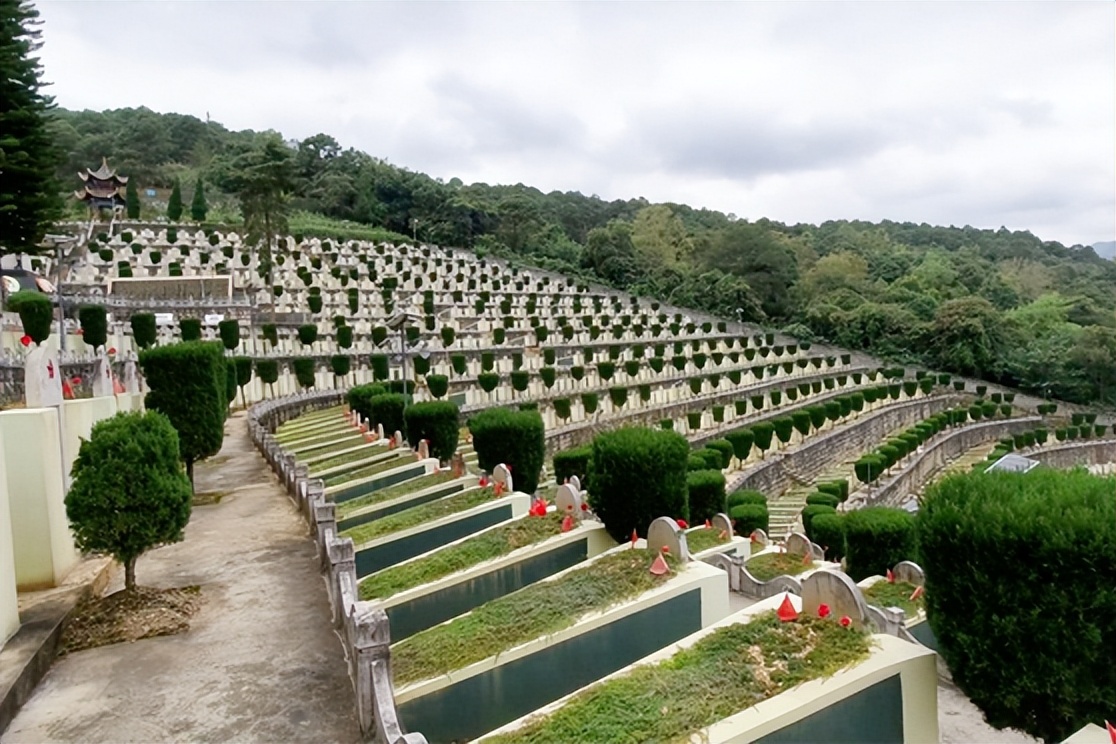 老山战场违纪复员的女兵,20年后用957朵玫瑰插满麻粟坡烈士陵园