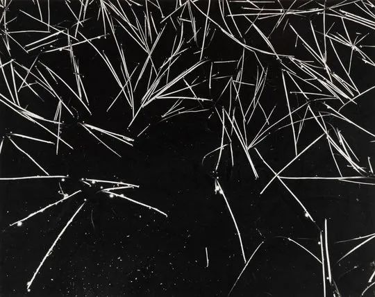 20世纪最具影响力的摄影师(2)‖安塞尔·亚当斯(ansel adams)