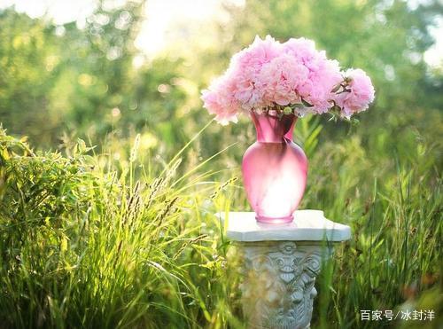 若,尘世苍凉,那就守心自暖