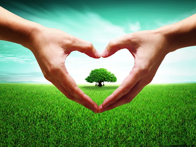 没有收到花辱骂学生,结果撤销教师资格证.如何正确看待这事呢?