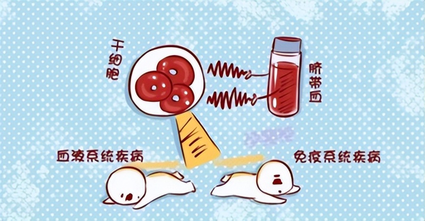 脐带血储存有意义吗?可以说意义重大