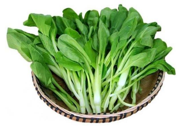 鸡毛菜的种植时间与方法?做好这4步,一个月就能有收获