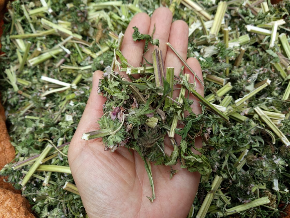 女人有妇科炎症?少3物,弃3习,喝3水,消炎杀菌,有助子宫健康