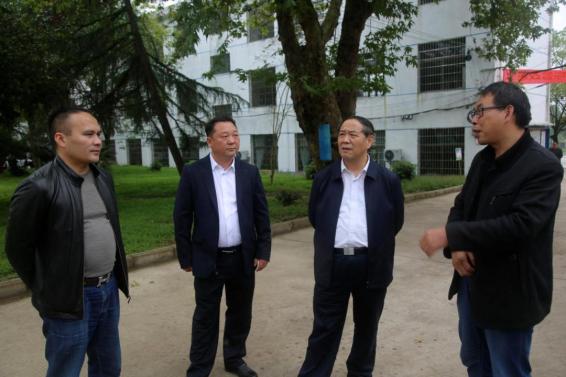 谭精益深入部分乡镇督导安全生产和环保督察交办问题整改落实情况