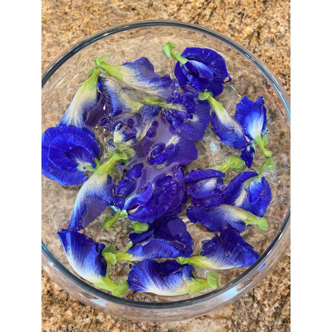 蝶豆蓝蝴蝶花怎么养?盆栽蓝蝴蝶花的养殖方法和注意事项!