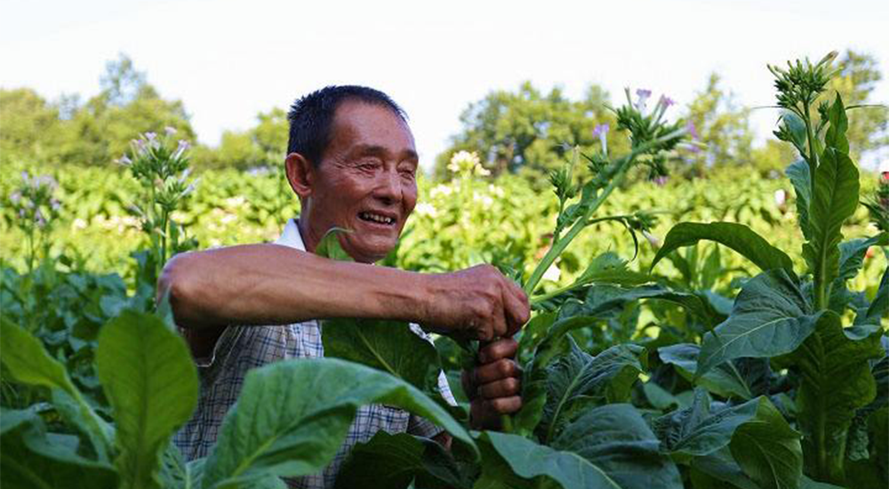 村民致富带头人(村民致富带头人发言稿)