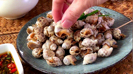 起锅烧水下姜片和葱段,水开后下花螺煮3~5分钟.