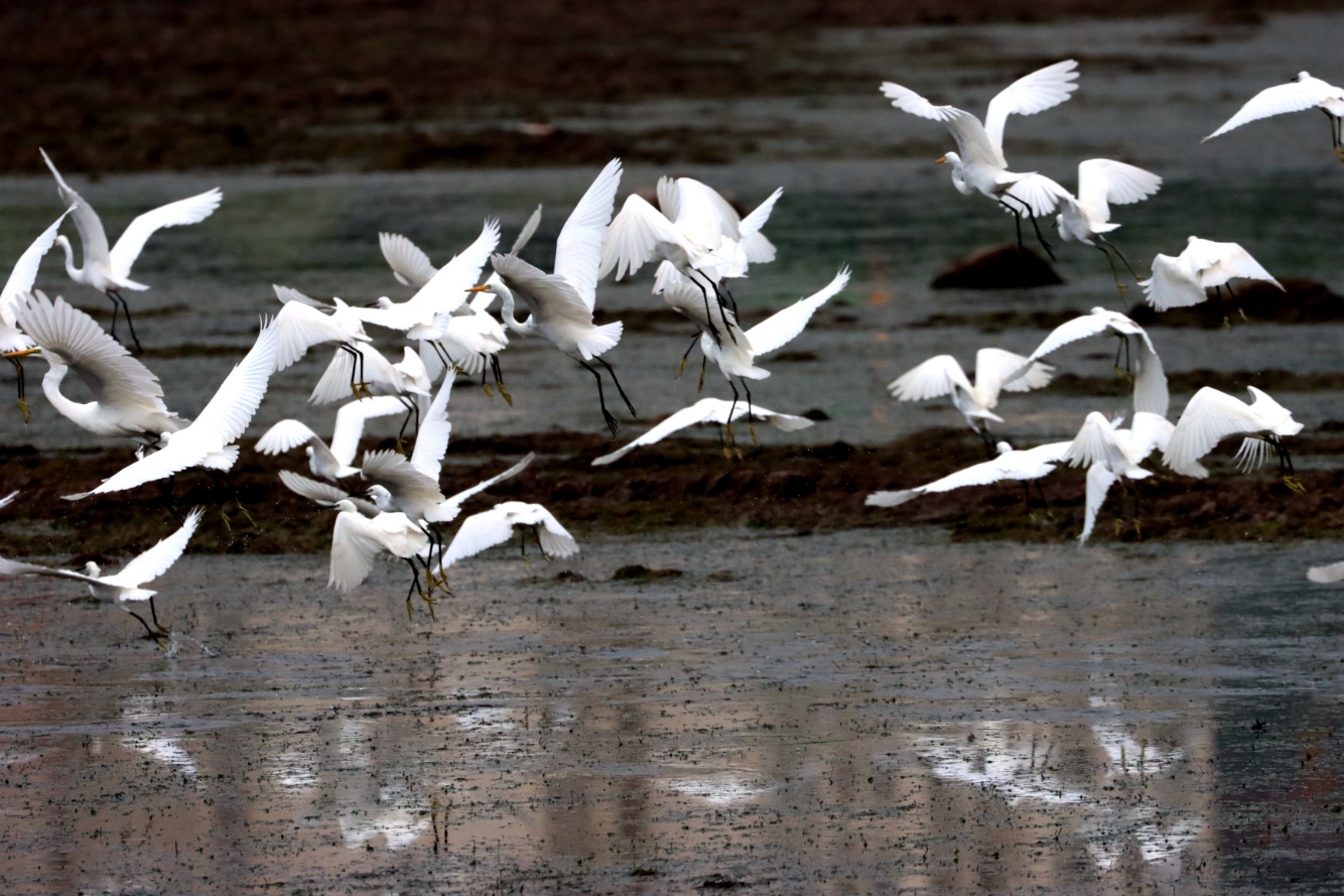 门头沟生态环境怎么样?"环境监测师"来了!
