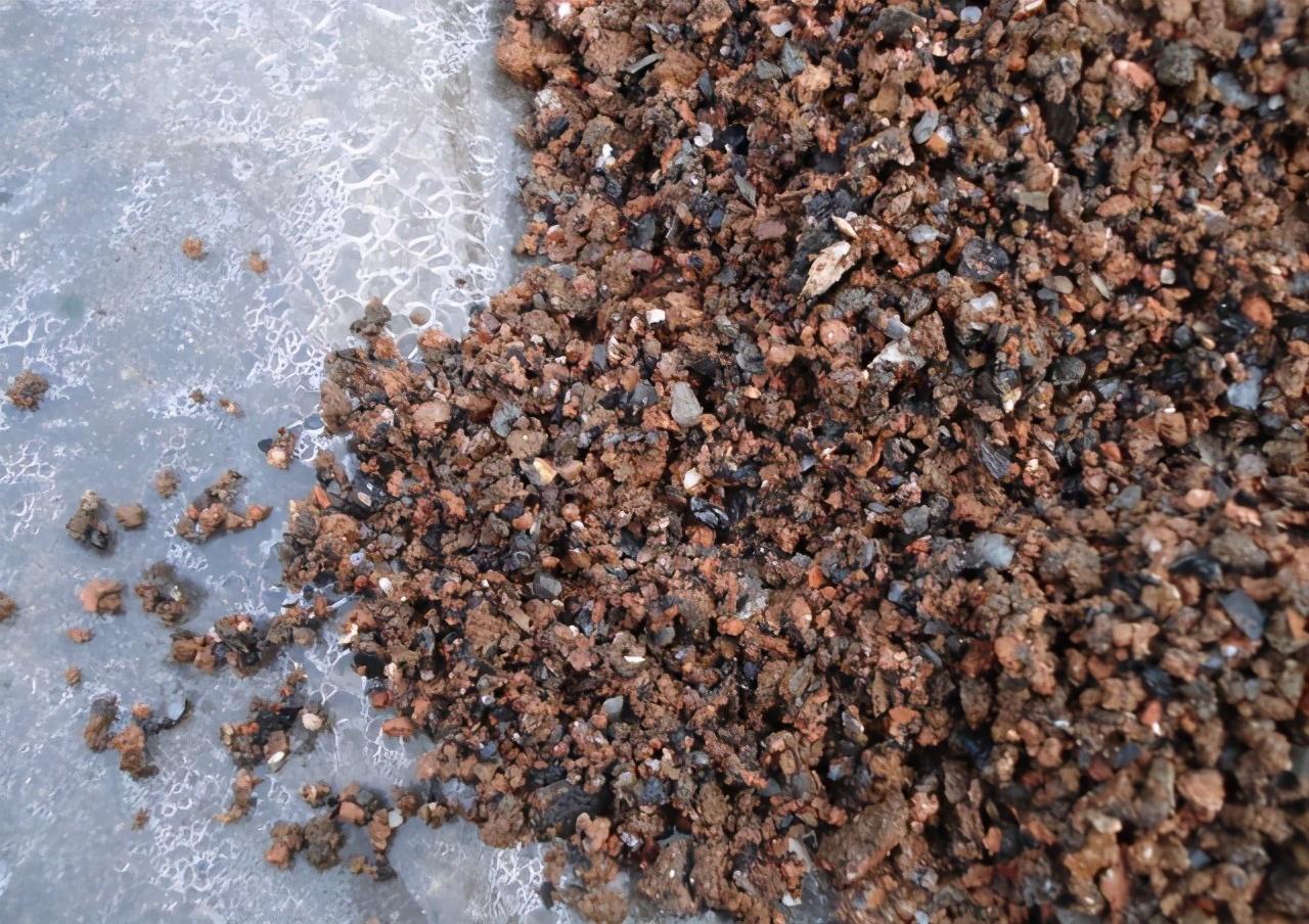 烧烬的蜂窝煤渣,处理一下,用来养花用途多多,省钱又实用