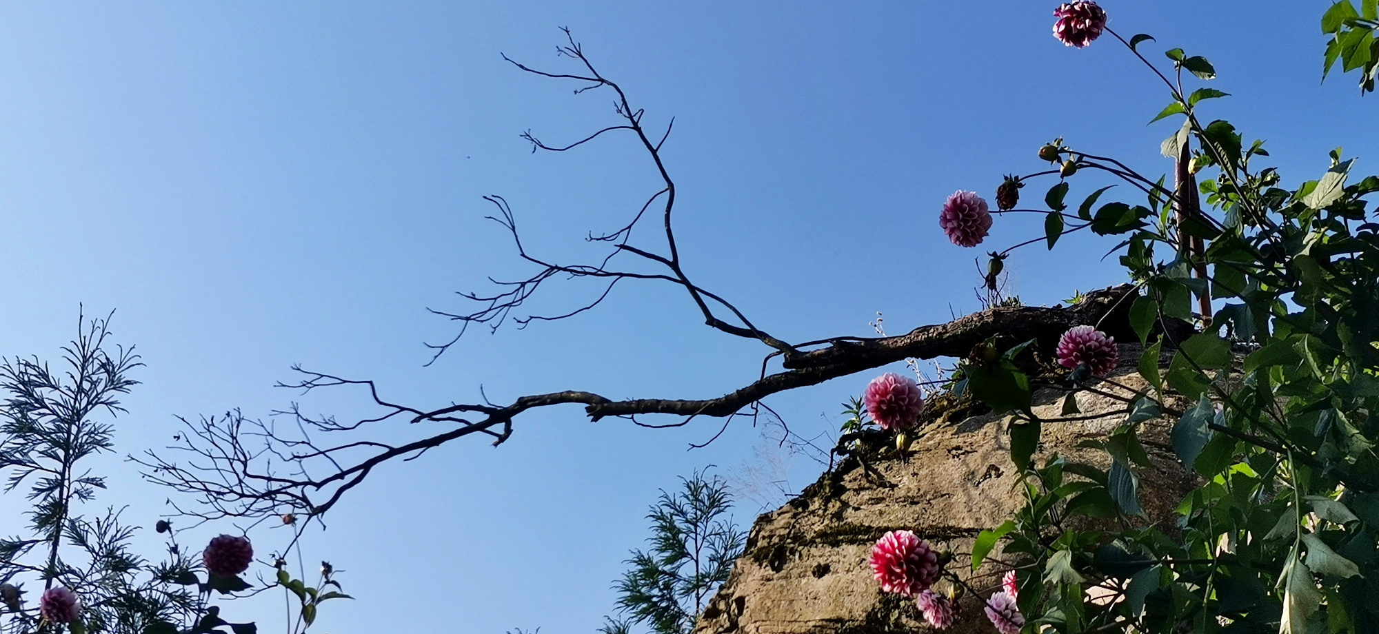 「创建天府旅游名县」红色景点——虎头山