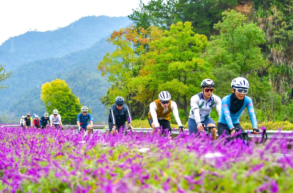 浙江杭州,淳安县千岛湖环湖骑行绿道,骑友们在绿道上骑行