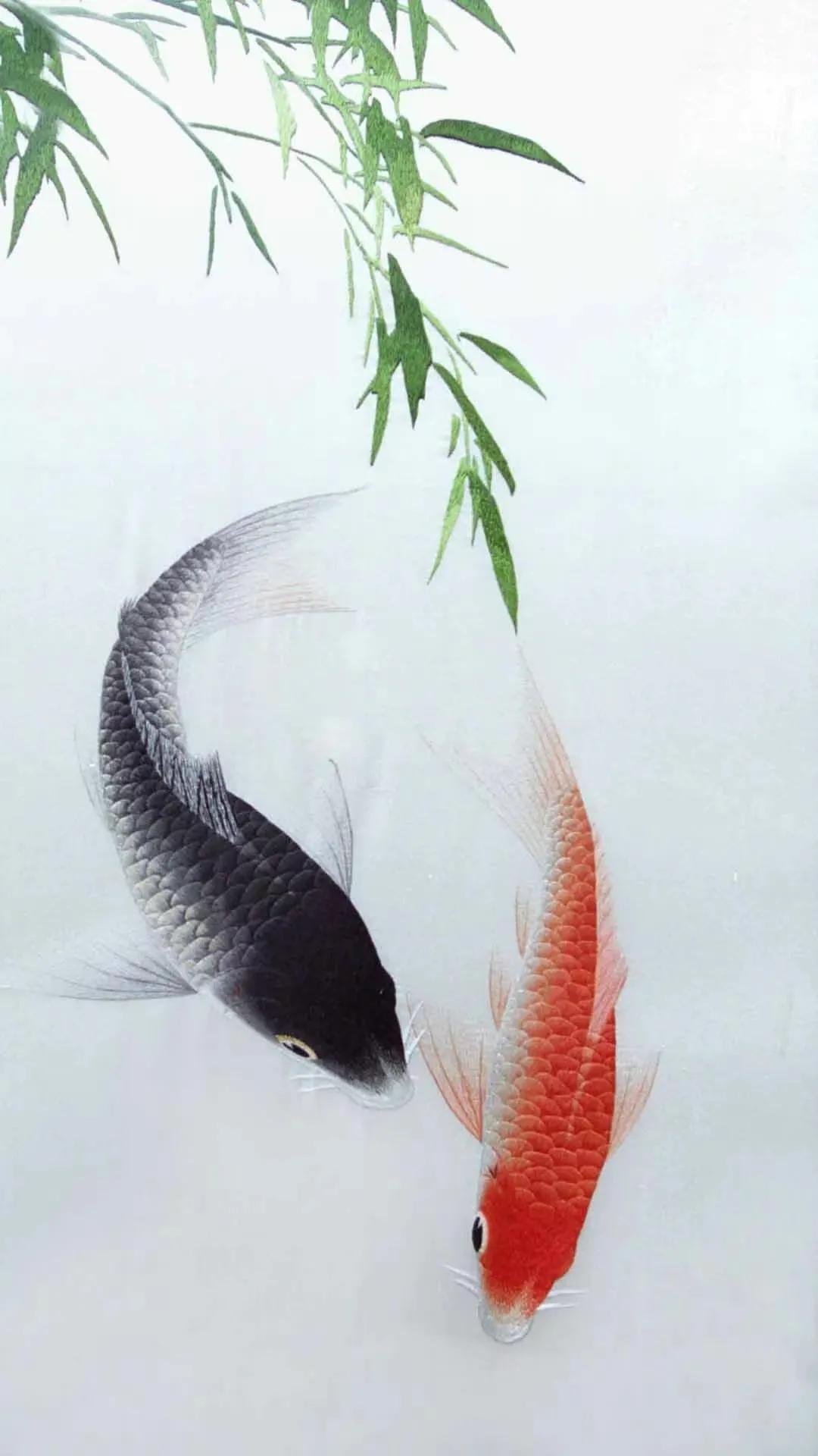 锦鲤壁纸,见锦鲤走好运,福气满满心想事成