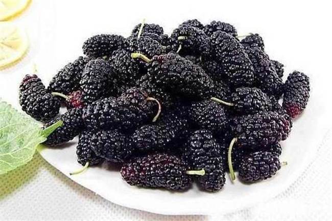 这些食物"补肾"效果还不错,男性朋友要多吃,或能增加不少魅力