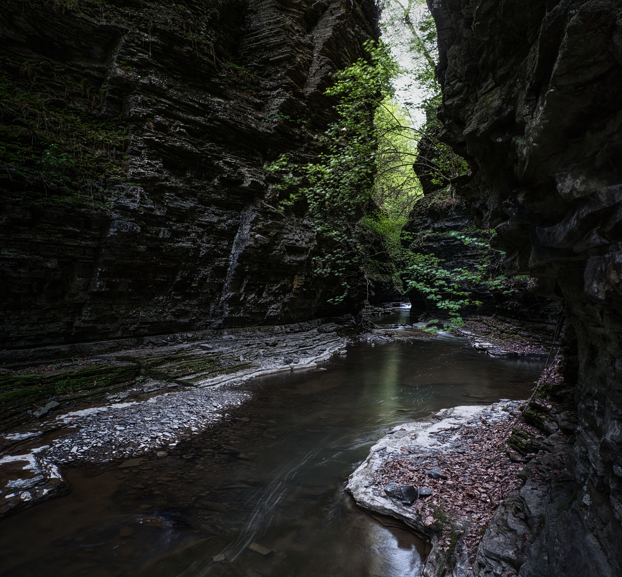 不可错过!亲临四川达州賨人谷景区,探索古代文化之谜!
