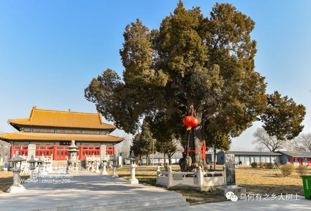 晾马台小镇何时建图片