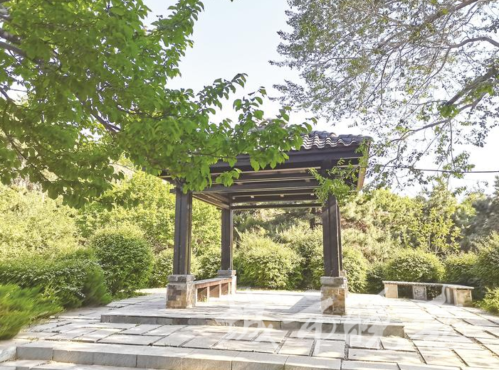 长春裕华园:一个具有历史沉淀 且风景优美的网红打卡地