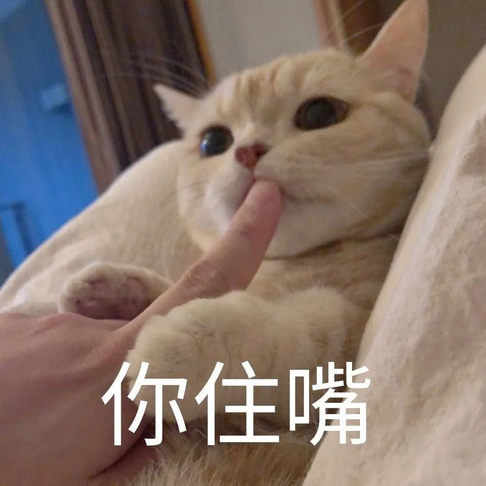 猫咪轻轻咬你