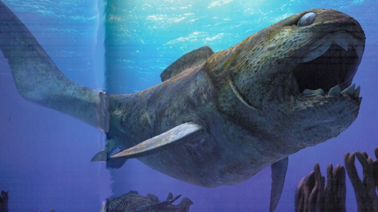史前最大的鱼图片