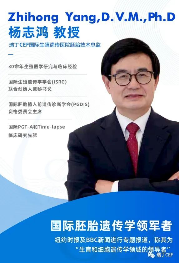 海外试管,中老(磨丁)经济特区瑞丁cef有哪些优势