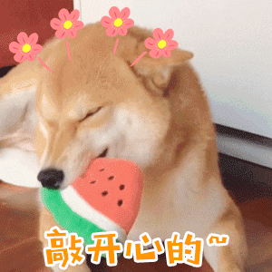 微信小程序做题库功能?在线答题小程序源码下载?插图1 微信小程序做题库功能?在线答题小程序源码下载?插图1