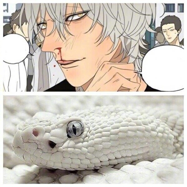 "19天"动物绘,见一变"萌狗",红毛是狐狸?蛇立太像了吧