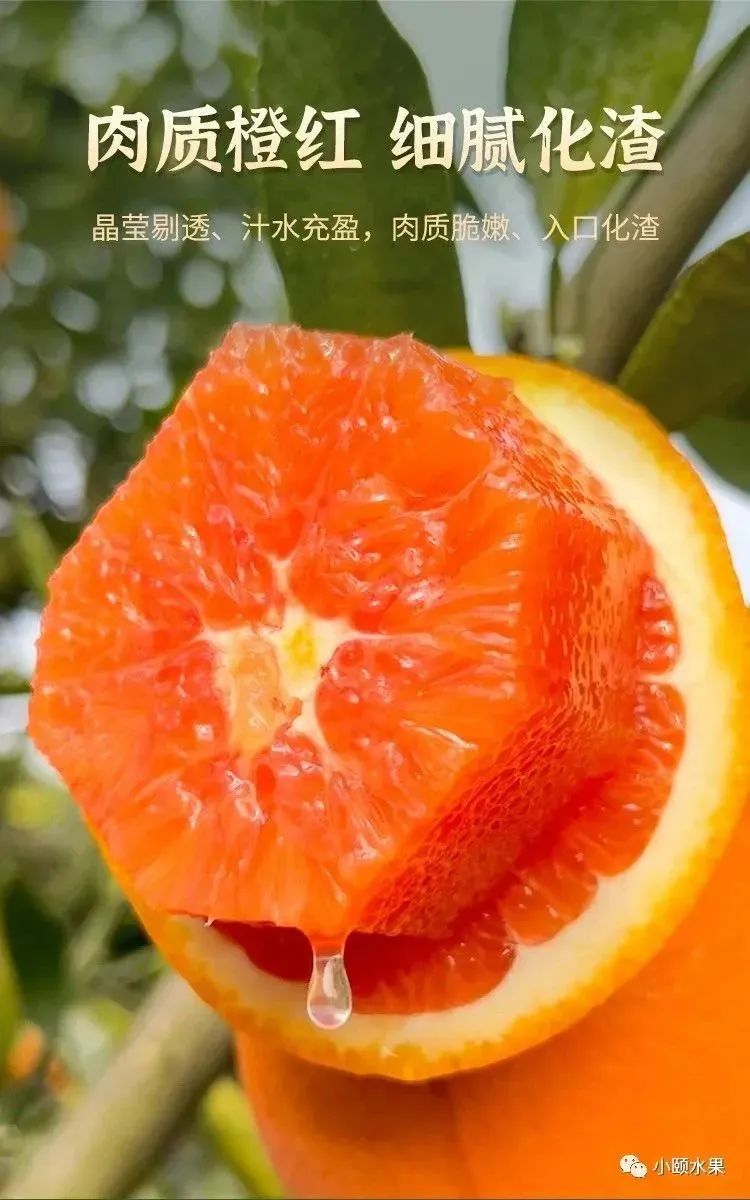 辰颐物语「秭归红肉脐橙」橙香清新,橙汁酸甜,橙肉嫩滑