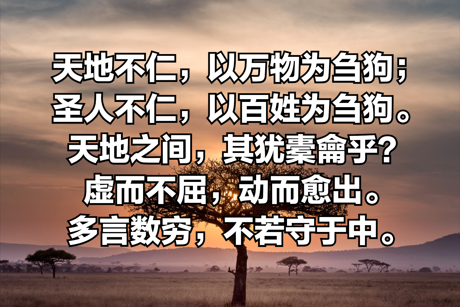 理解《道德经》第五章-天地不仁,以万物为刍狗