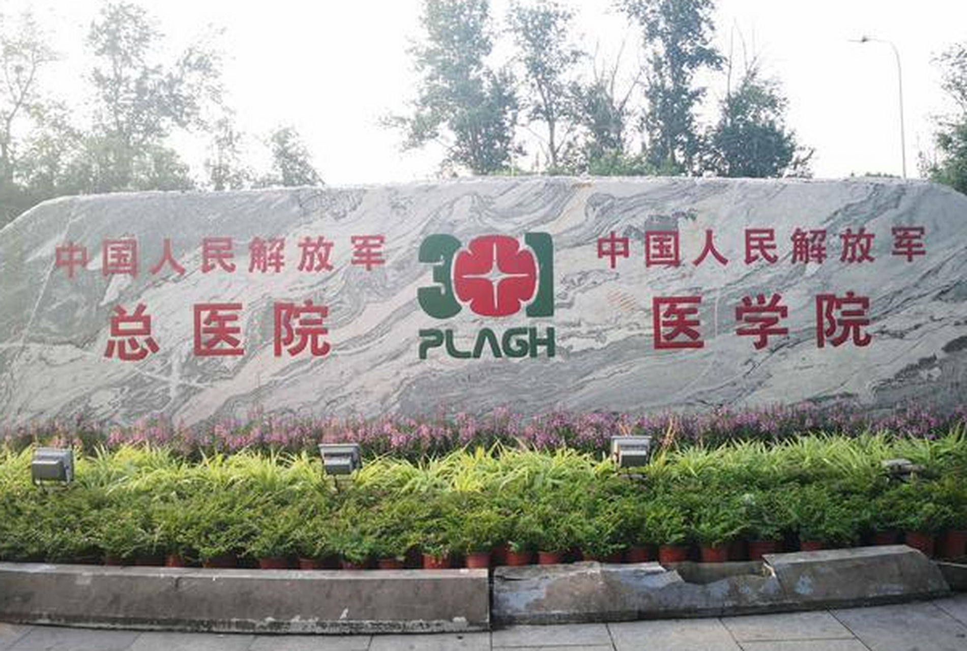 301醫院地理位置代掛陪診就醫