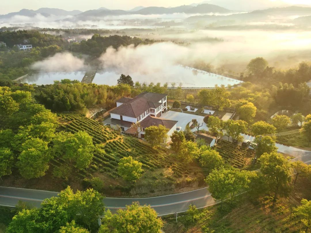 第三天:镇江墅山村>"水月雨"茶文化园>南山茶林研究所>容北茶谷>茅山