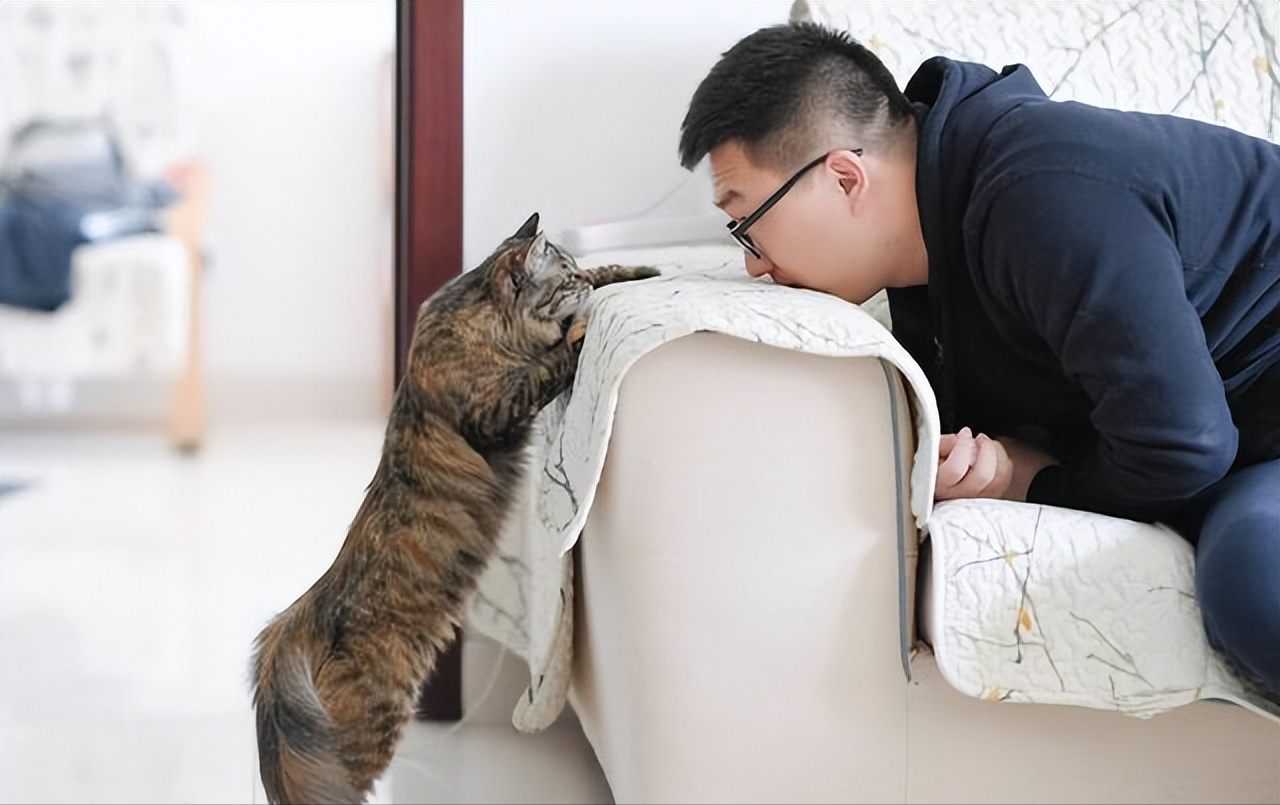 钟南山院士也推荐"养猫",原来是有这十个好处!