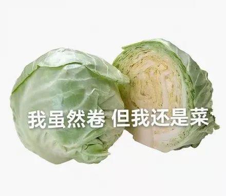 黑猫厨房:传说中和绵羊料理并列美食区,两大搞笑女?