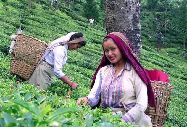 被印度吞并的锡金,如今生活富裕,但其内部问题不容忽视