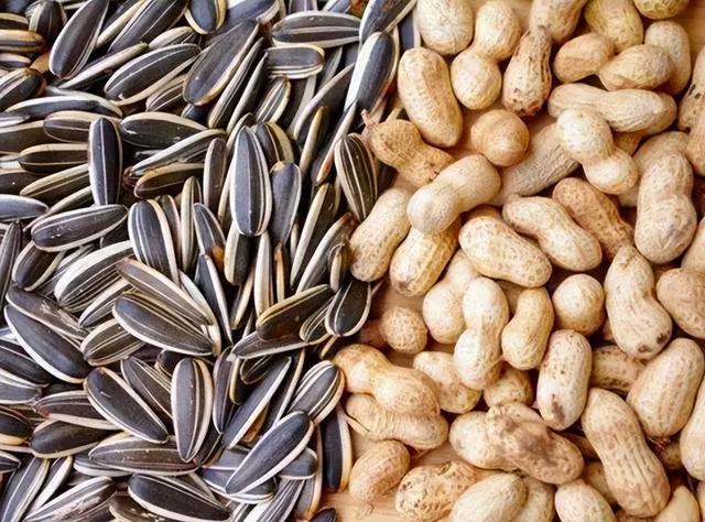 瓜子和花生,一个增肥,一个减肥,看看你吃对了吗?