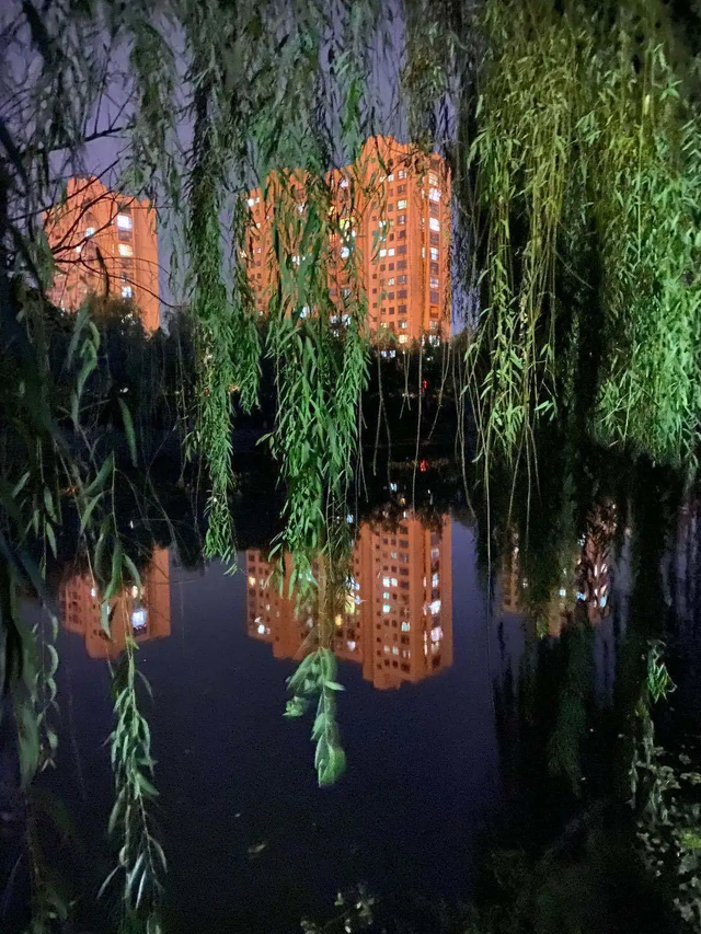 推荐|男子酒后被查弃车跳河身亡，家属质疑交警“见死不救”，律师这样说