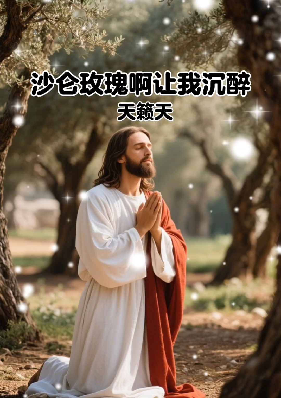 沙仑玫瑰