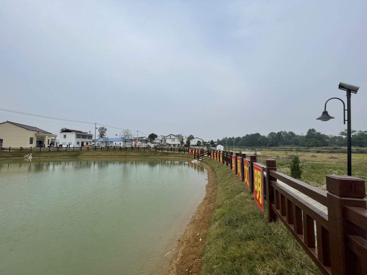 怀宁县三桥镇:美丽乡村留乡愁 乡村振兴绘新卷