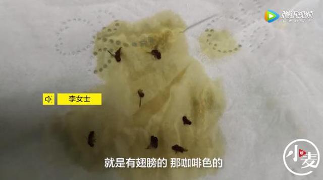 推荐怀孕女子吃饺子时发现蘸碟不太对劲，仔细一看吓得不轻